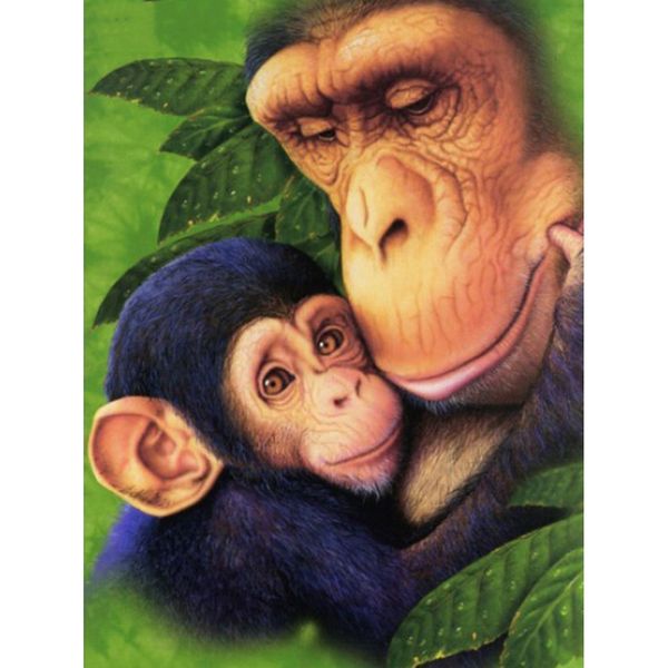 

diy diamond painting orangutan decoration home full square monkey picture of rhinestone diamond embroidery animals