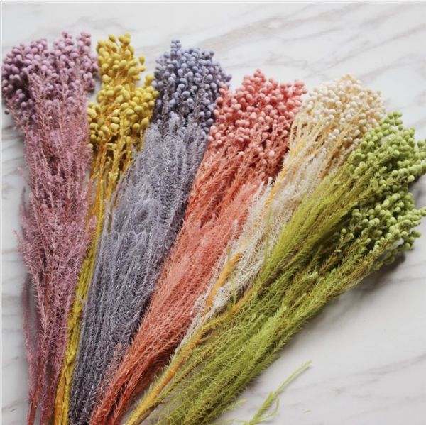 

85-95g real natural fresh preserved coralline flower,fleur eternelle millet bouquet for home decor,wedding flowers decorations
