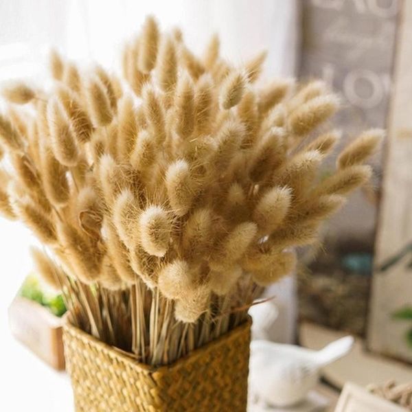 

30pcs/set natural dried flowers tail grass bunch colorful lagurus ovatus real flower grass props for wedding decoration