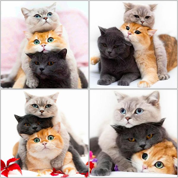 

evershine 5d diy алмазный вышивки cat полный площади круглый алмазная картина животные мозаика горный хрусталь украшение дома
