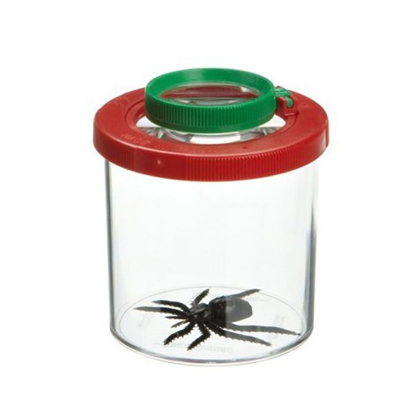 

bug collect insect viewer accessories wasp toy magnifier jar backyard explorer