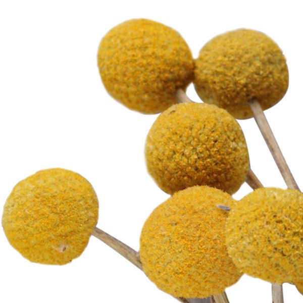 

10pcs floral decoration large bouquet billy ball crafts party dried flower home