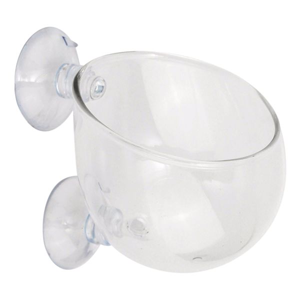 

with suction cup cylinder aquaculture fish tank mini aquatic planting cup glass