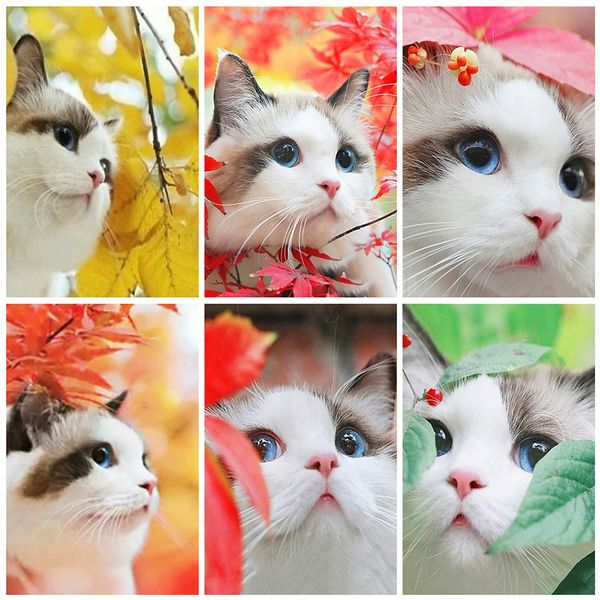 

evershine 5d diy diamond painting cat rhinestone picture full square diamond embroidery sale animals wall decoration
