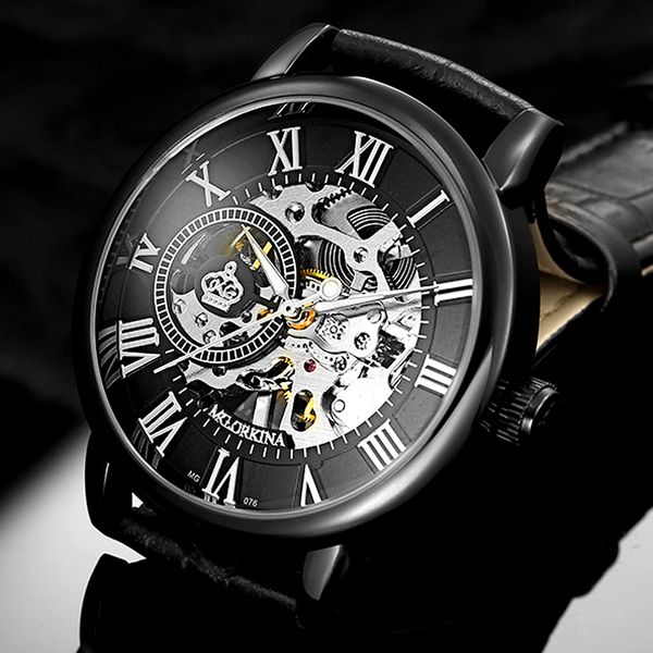

new fashion transparent case skeleton design mechanical watch men automatic self wind watches for men montre homme, Slivery;brown