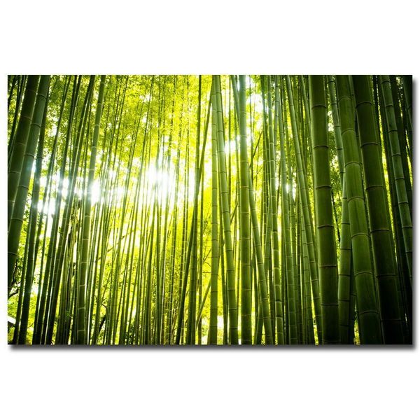 

nicoleshenting forest path bamboo sunbeam art silk fabric poster print 12x18 24x36inch wall pictures living room decor 004