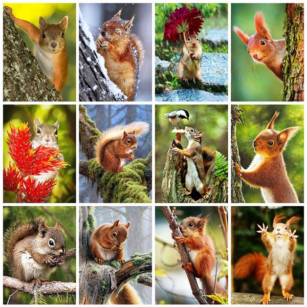 

evershine full square drill 5d diy diamond painting squirrel animals diamond embroidery cross stitch kit home decoration art