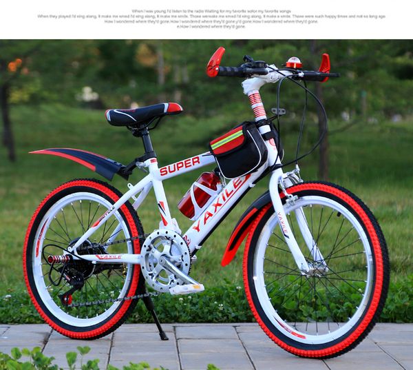 

21 speed 20 inch harde frame mountainbike
