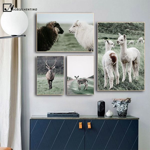 

alpaca llama sheep animal poster nordic style canvas print scandinavian art painting wall picture for modern living room decor