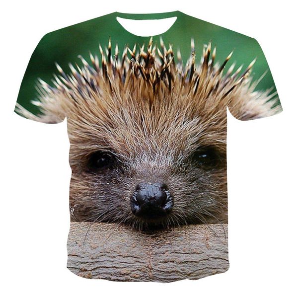 

new hedgehog pattern cool 3d printing quick drying t-shirt. 3d print shirts hippie plus size plus size men clothing