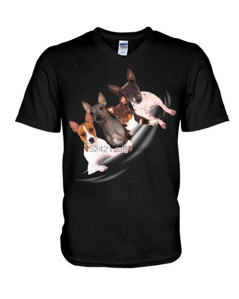

men t shirt american hairless terrier - torn 4(5) women tshirt