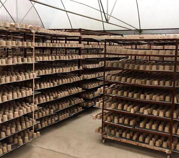 

biodegradable 8*8cm pulp plant flower cups garden pots raising tray ljjk2021 seedling nursery 2000pcs dh_niceshop yllnv