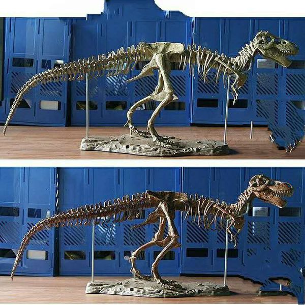 

assembled dinosaur fossil skeleton large dinosaur model jurassic 0052 ornaments diy tyrannosaurus 64 accessories set 70cm