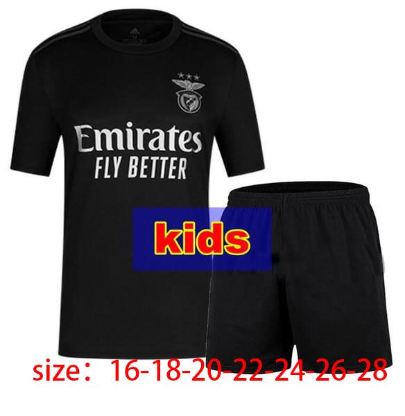 2020 20 21 Benfica Soccer Jerseys Vinicius Pizzi Rafa ...