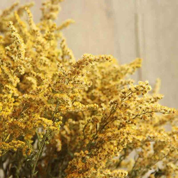 

10pcs/ natural dried flowers bouquet wedding home easter decorations yellow warbler real flower bouquet for homewedding