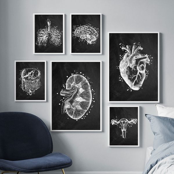 

anatomy art human heart lung brain gut uterus wall art print canvas painting nordic poster wall pictures for doctor office decor