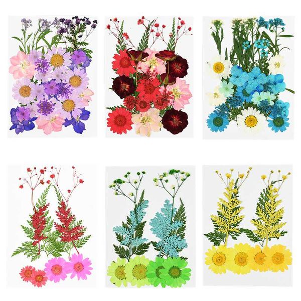 

crafts scrapbooking frame home phone preserved flower pressed party supplies diy flowers mini 1pc wedding case dried decor decor nlppd