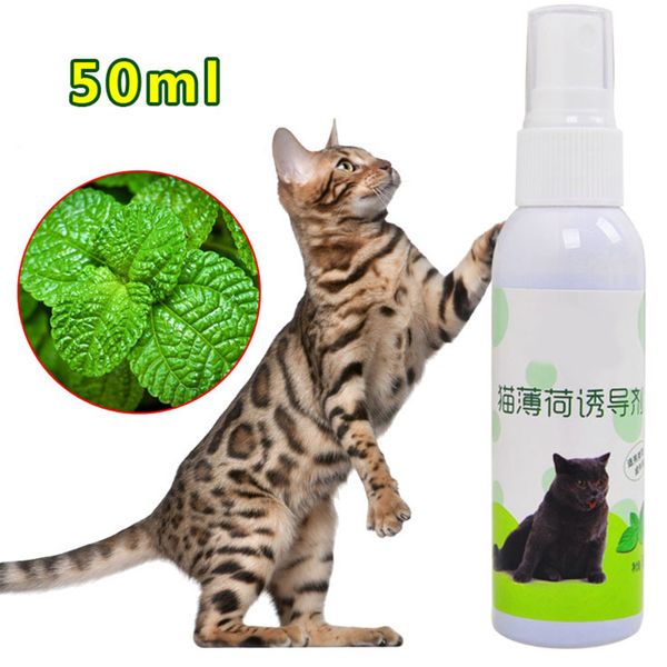 

accessories effective natural toy catnip spray 50ml pet training supplies cat
