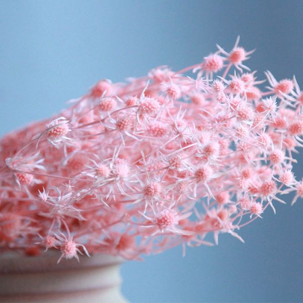 

beautiful temperament eryngium maritimum natural dried flowers bouquet wedding home decorative p backdrop decor