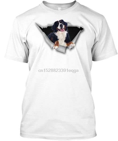 

men t shirt torn - bernese mountain dog women t-shirt