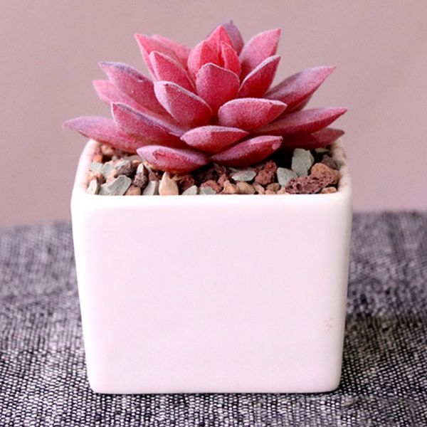 

green plants home decor wedding bonsai artificial succulent garden ceramic pot