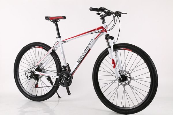 

mountain bike variable speed bike shock absorption off-road bike