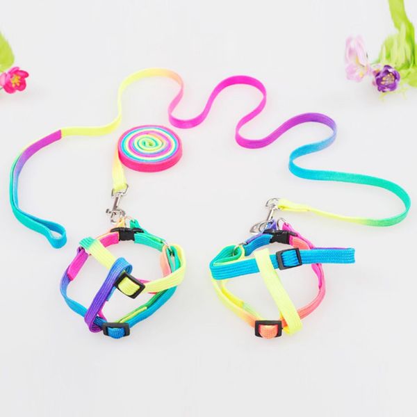 

new puppy pet dog leash rainbow harnesses chest back color dog leash traction rope harness medium harness vest pink dr