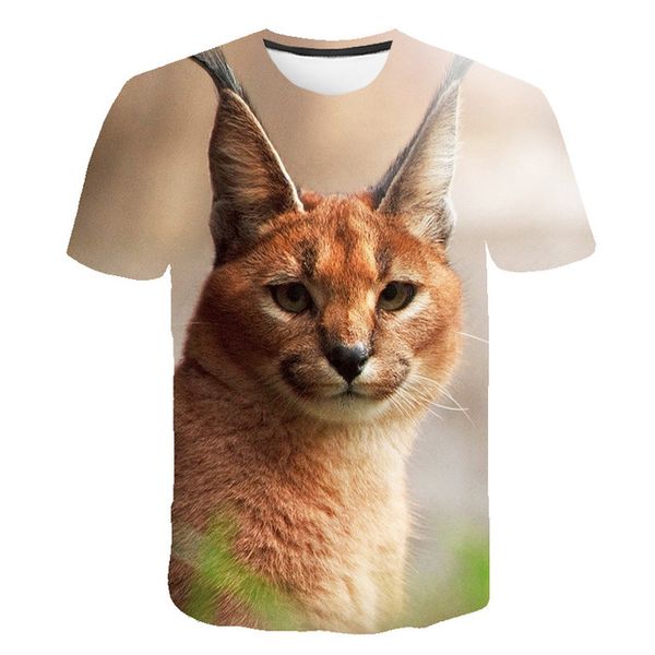 

summer 3d print animal newst kitten print cat plain 3d design male 3d print shirts horror anime hentai men clothing