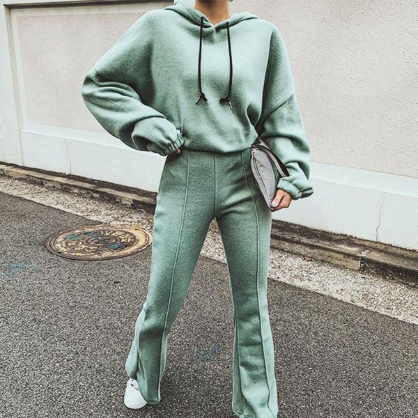 

minimalist 2 piece set fall 2020 drawstring hooded flare pants elastic waist suit comfy athleisure fashion winter clothes women, Gray