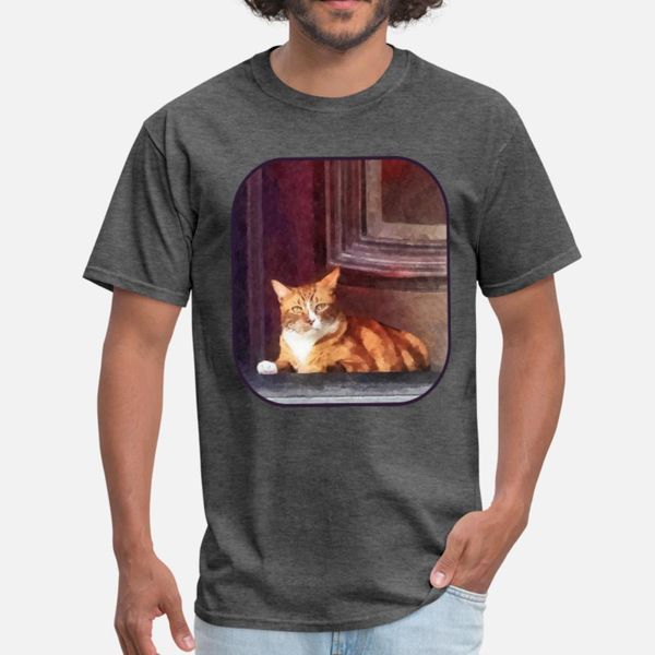

cats orange tabby in doorway t shirt men graphic tee shirt plus size 3xl clothes graphic fashion summer style standard shirt