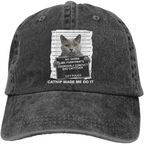 

zwinz nip made me do it funny cat casquette adjustable baseball caps trucker hat, Blue;gray