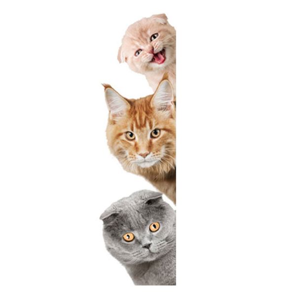 

for kids room dogs cats pattern cartoon animal 3d wall sticker simulation