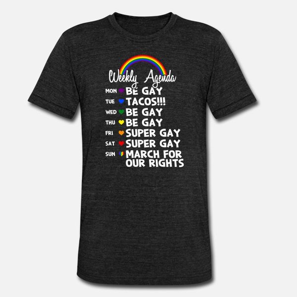 

the gay agenda gift t shirt men designer tee shirt o-neck normal crazy humor spring autumn letter shirt