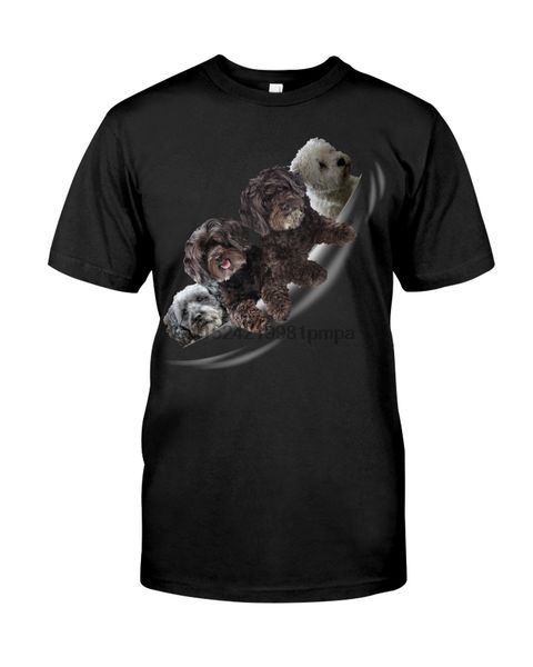 

men t shirt schnoodle - torn 4(10) women tshirts