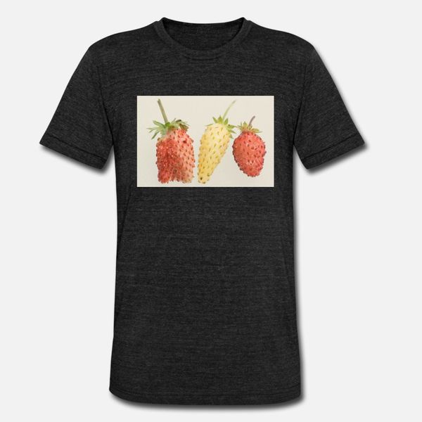

strawberry trio t shirt men print cotton crew neck clothes fitness new fashion summer style cool shirt
