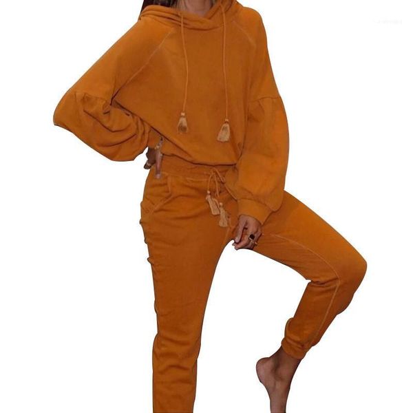 

solid color long sleeve hooded 2 piece sets 20ss new women designer clothing women casual hoodies tracksuits, Gray