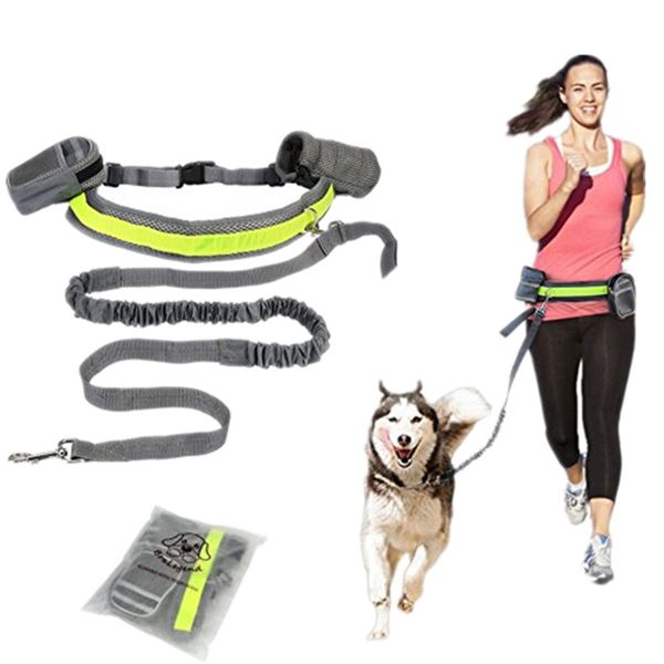 

hand elastic puppy dog leash adjustable padded waist reflective running jogging walking pet lead belt with pouch bags