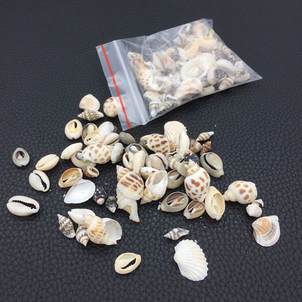 

natural beach fashion puka shell seashells exquisite diy easy to use crafts for party decoration handcrafts factory direct sale 2yy bb