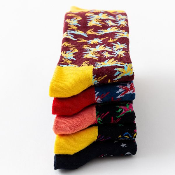 

lovely bright color women stylish winter autumn fashion socks, Black