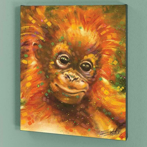 

stephen fishwick canvas art baby orangutan home decoration oil painting on canvas wall art canvas pictures wall decor for living room 200925