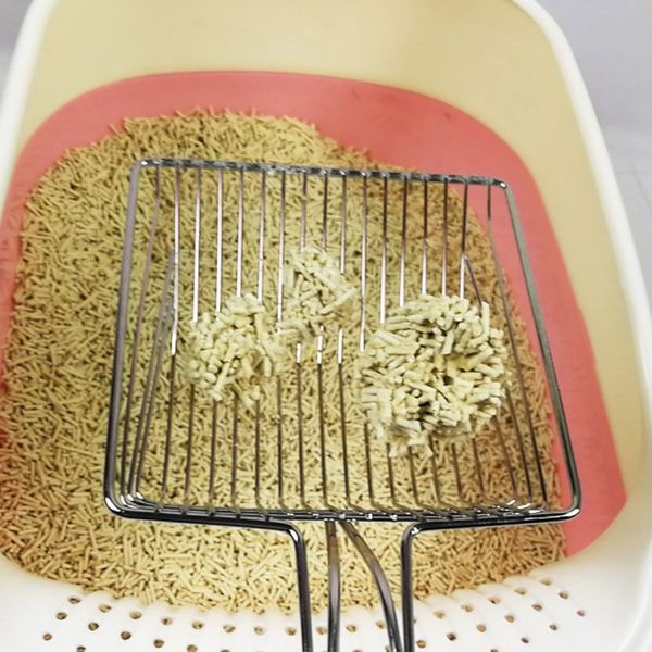 

pet cat artifact instantly filter toilet poop metal hollow cat litter scoop