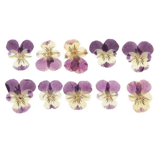 

10pc beautiful pressed pansy flower dried flowers for art craft scrapbooking artificial decorations gift favor
