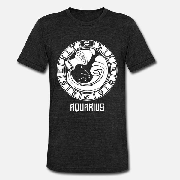 

aquarius zodiac sign january & february birthday t shirt men character tee shirt euro size s-3xl vintage famous breathable summer style