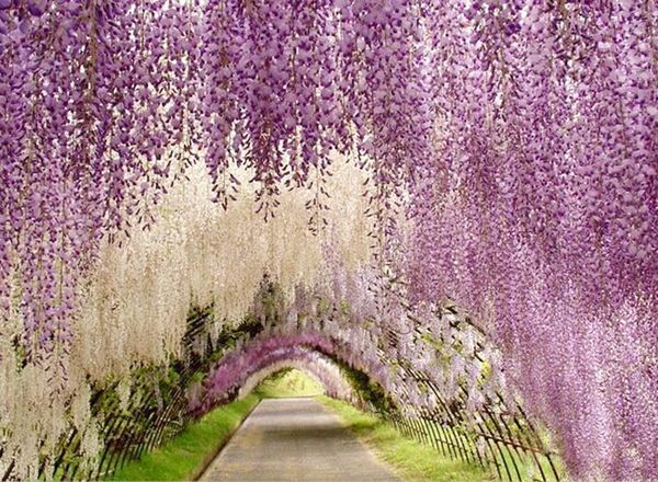

upscale artificial silk flower vine home decor simulation wisteria garland craft ornament for wedding party decorations shi