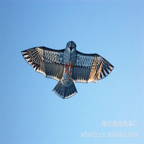 

front strut green eagle kite