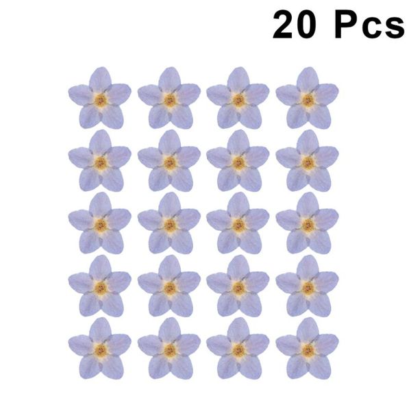 

20pcs dried flower dried myosotis sylvatica pressed flower handmade diy accessories for jewelry p frame manicure (blue