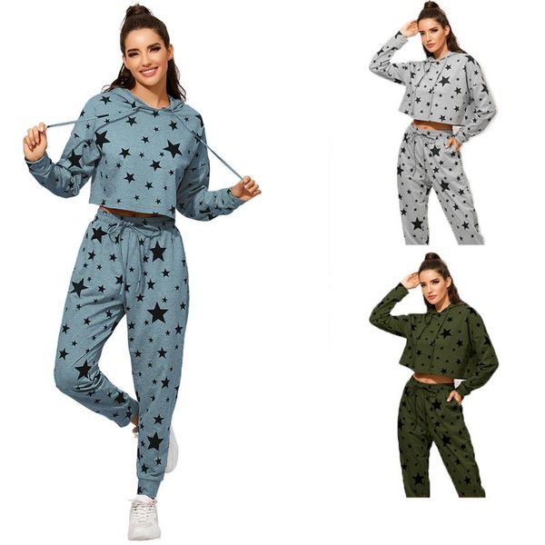 

womens 2 pieces solid color long sleeve tracksuit set drawstring hoodie + elastic waist trousers loungewear set grey, Gray
