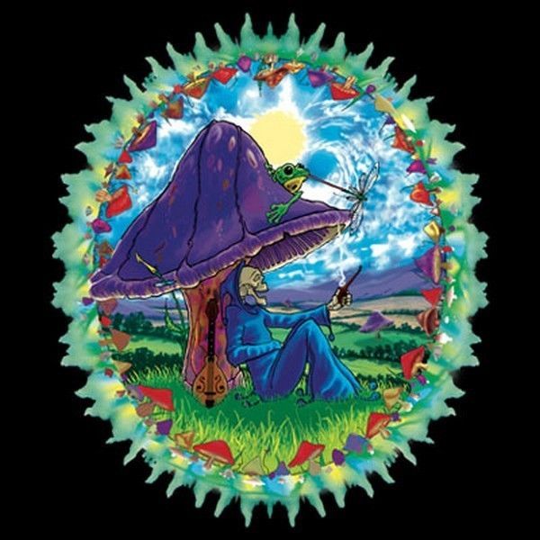 

2019 мужская мода тенниска бесплатная доставка mushroom haven ii t shirt вы выбираете стиль, размер, цвет up to 4xl 10251 tops tshirt homme