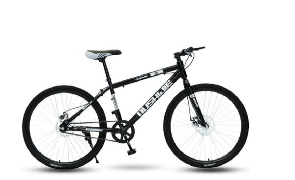 

bicycle single speed disc brake mountain bike