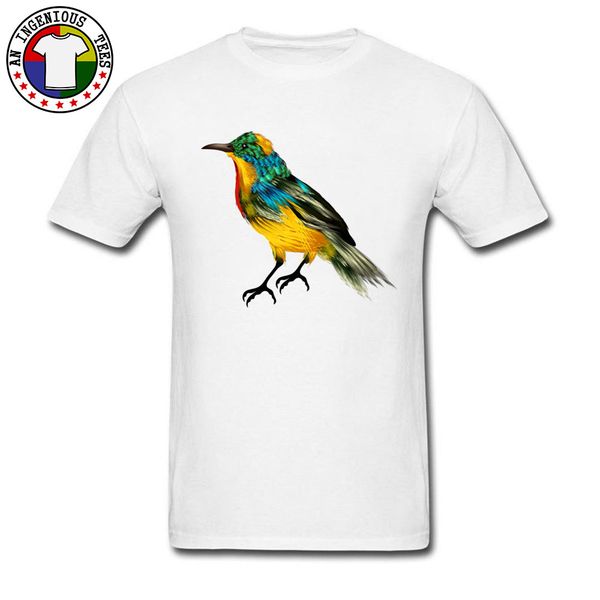 

brand casual colorful feathers birds image tshirt summer autumn new style t shirt o neck cotton fabric tee shirts white orange